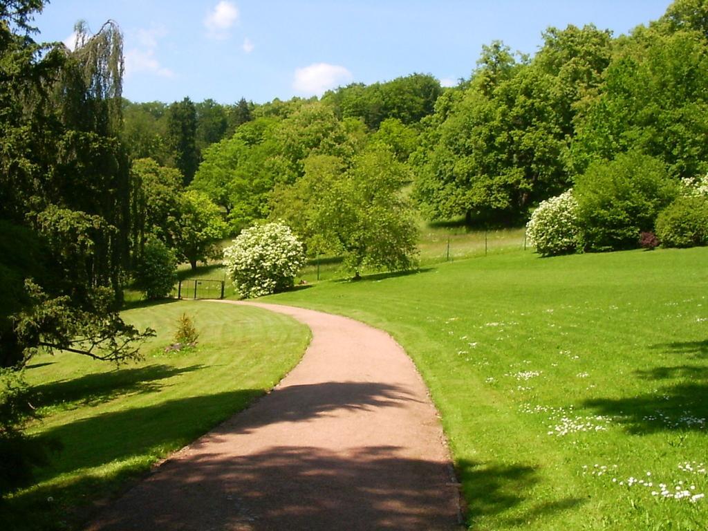 Lovely Holiday Home In The Thuringian Forest With Roof Terrace And Great View バート・リーベンシュタイン エクステリア 写真